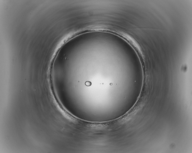X0000091301429200708101258