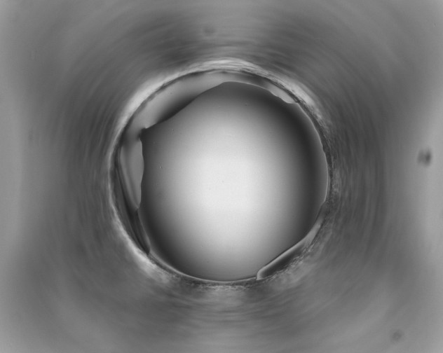 X0000091301430200708101258