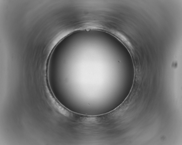 X0000091301431200708101258
