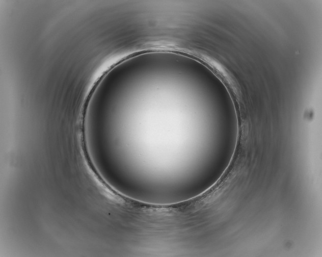 X0000091301432200708101258