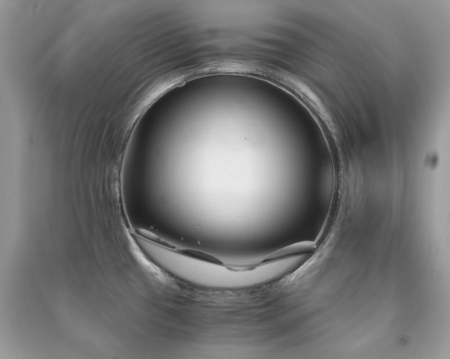 X0000091301433200708101258