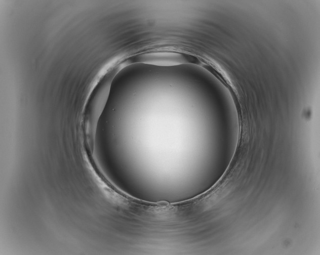 X0000091301434200708101258