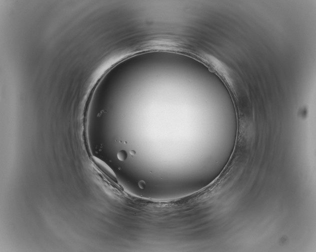 X0000091301435200708101258