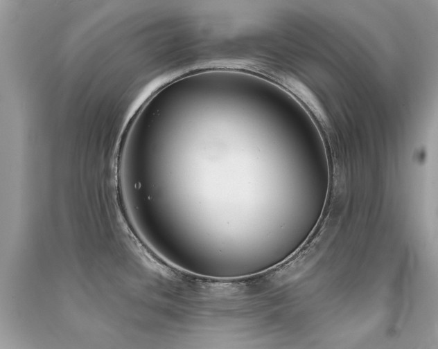 X0000091301436200708101258