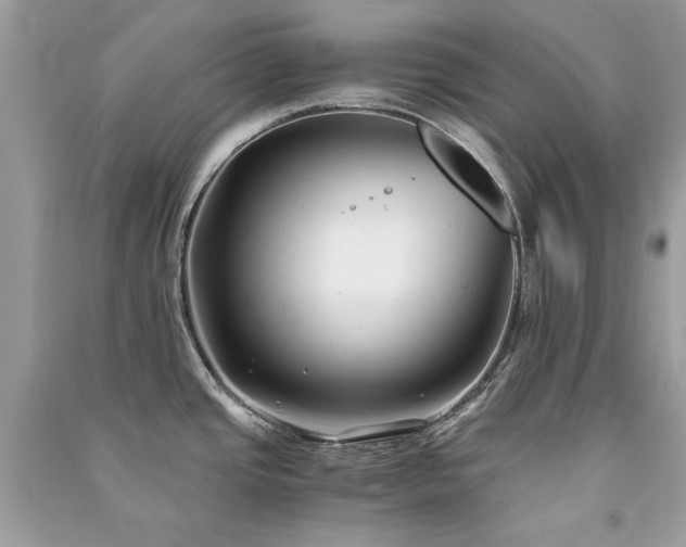 X0000091301437200708101258