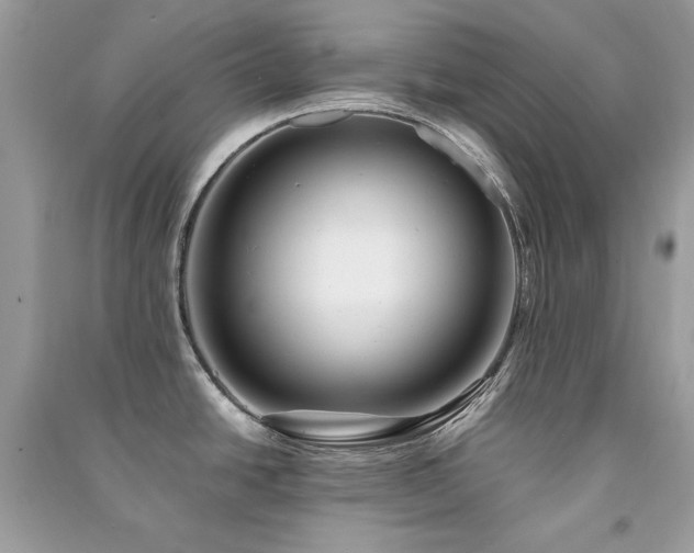 X0000091301438200708101258
