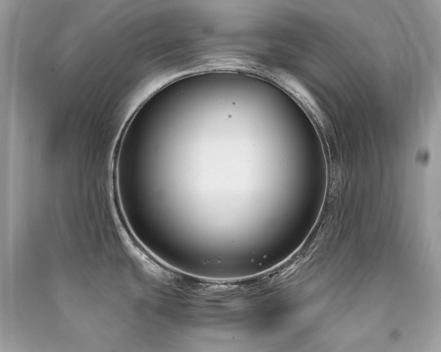 X0000091301439200708101258