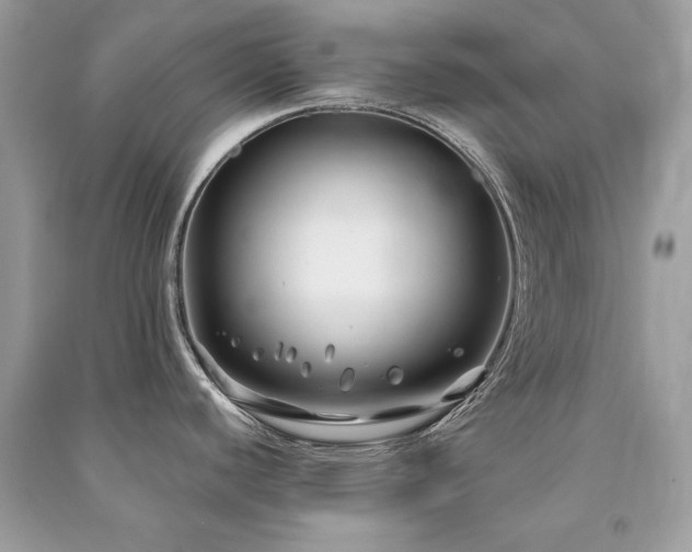 X0000091301440200708101258