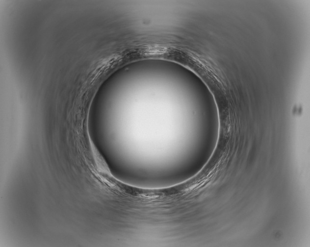 X0000091301441200708101258