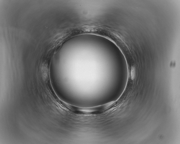 X0000091301444200708101258
