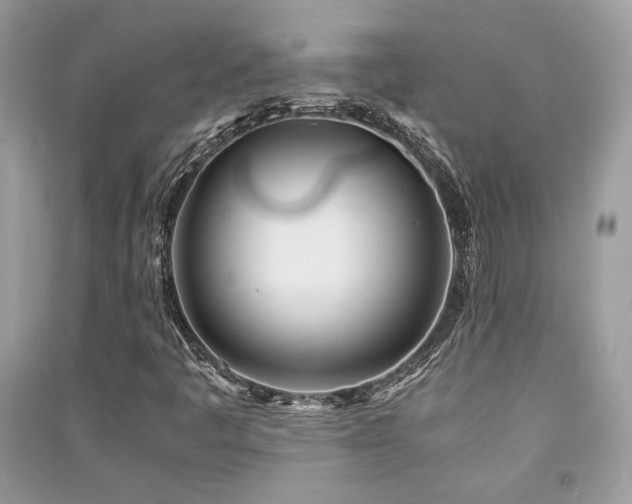X0000091301445200708101258