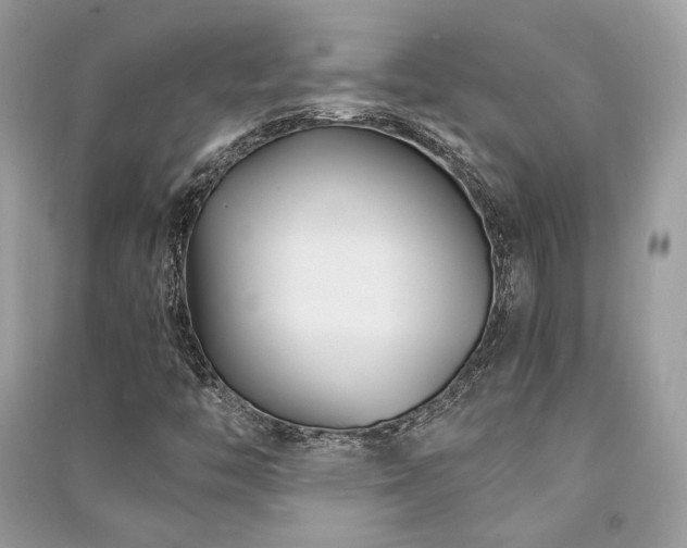 X0000091301446200708101258