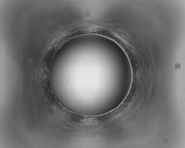 X0000091301447200708101258