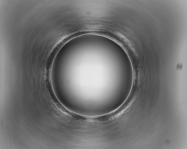X0000091301449200708101258