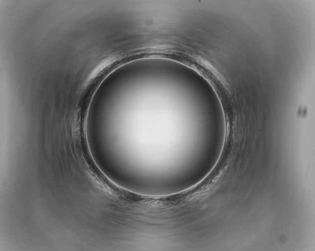 X0000091301450200708101258