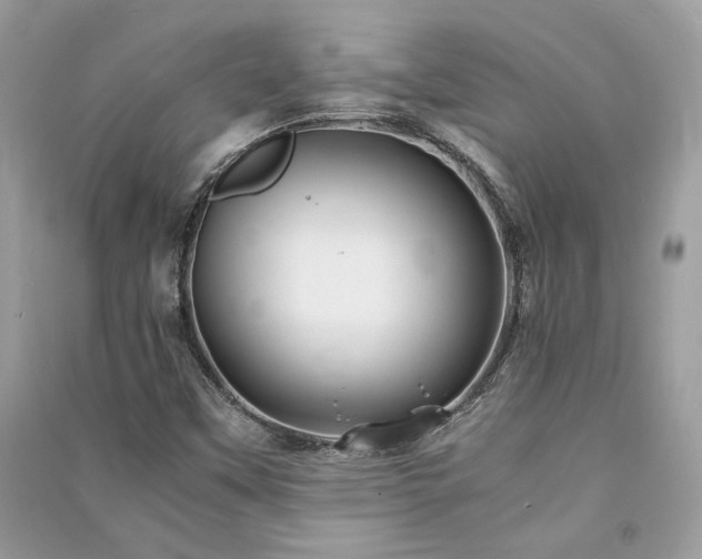 X0000091301451200708101258