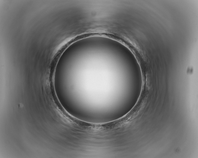 X0000091301452200708101258