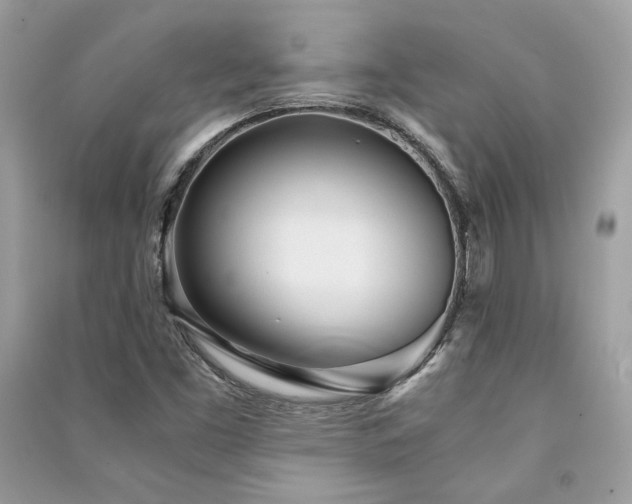 X0000091301453200708101258