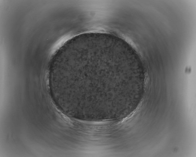 X0000091301455200708101257