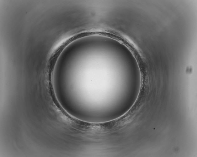 X0000091301456200708101257