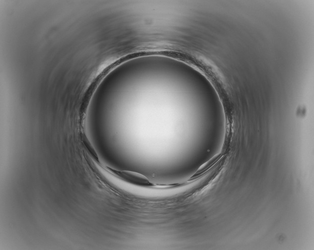 X0000091301457200708101257