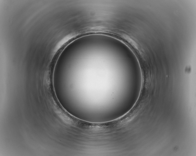 X0000091301458200708101257