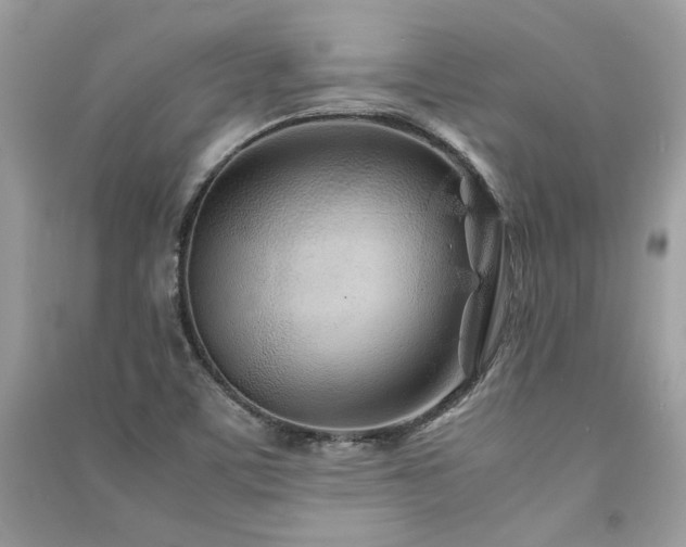 X0000091301459200708101257