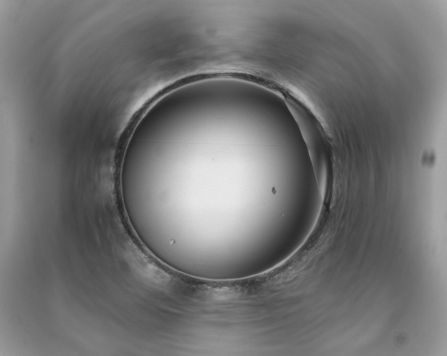 X0000091301460200708101257