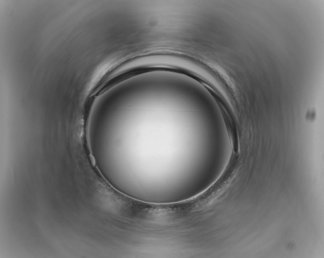 X0000091301461200708101257