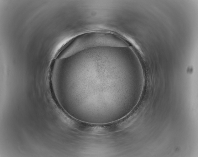 X0000091301463200708101257