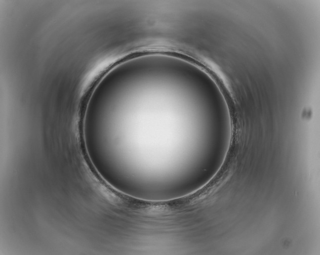 X0000091301464200708101257