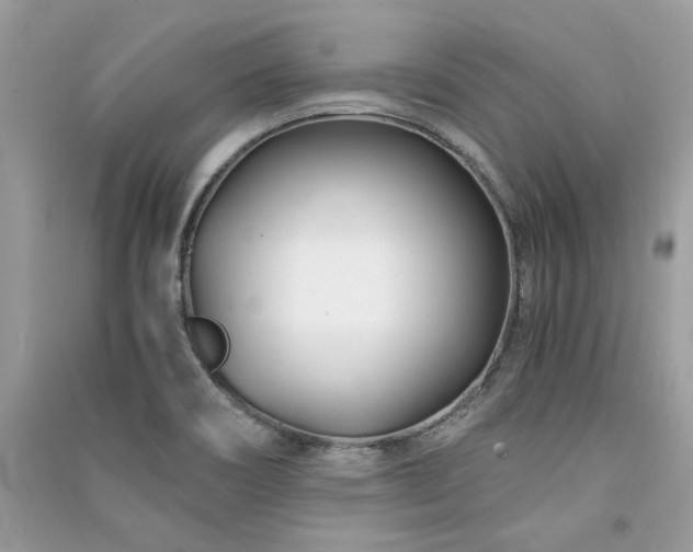 X0000091301466200708101257