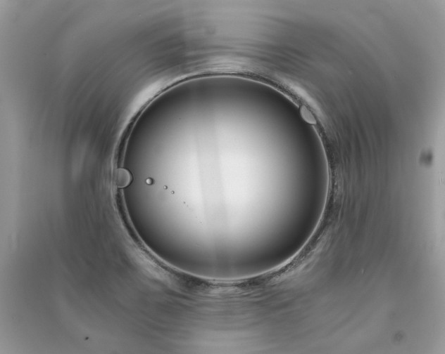 X0000091301467200708101257