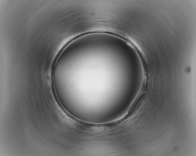 X0000091301468200708101257