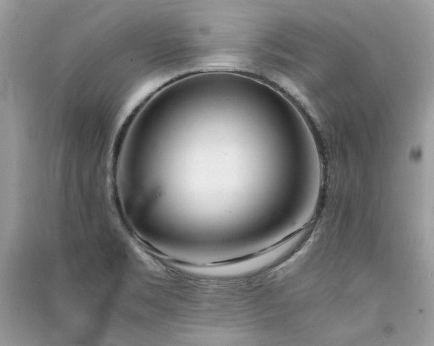 X0000091301469200708101257