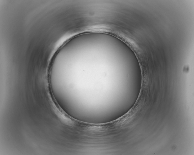 X0000091301470200708101257