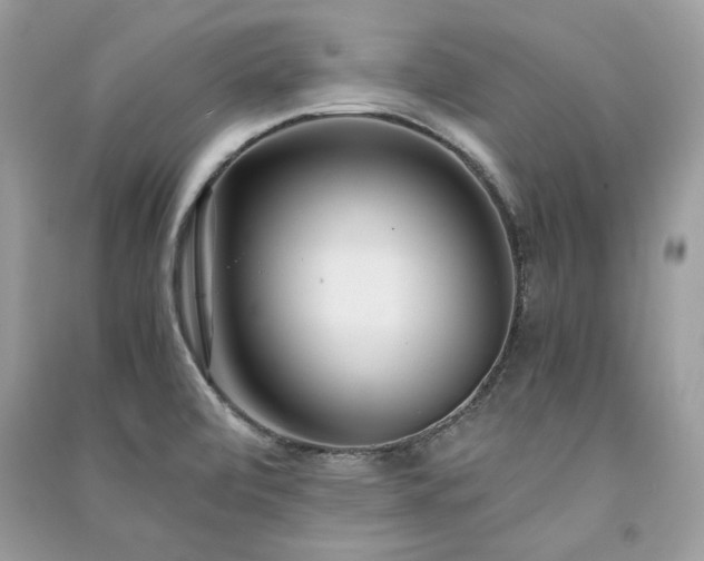 X0000091301472200708101257
