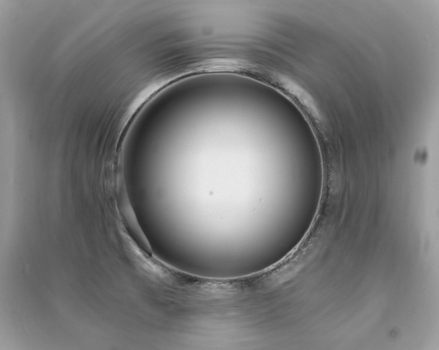 X0000091301473200708101257
