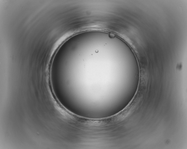 X0000091301474200708101257