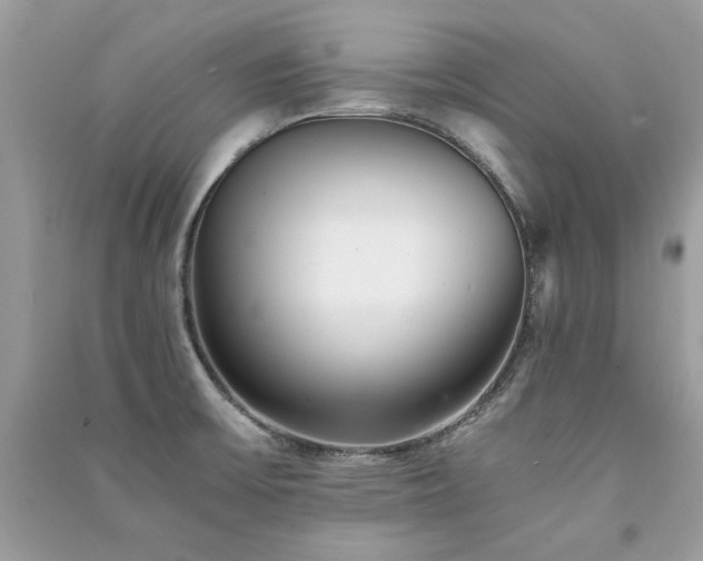 X0000091301475200708101257