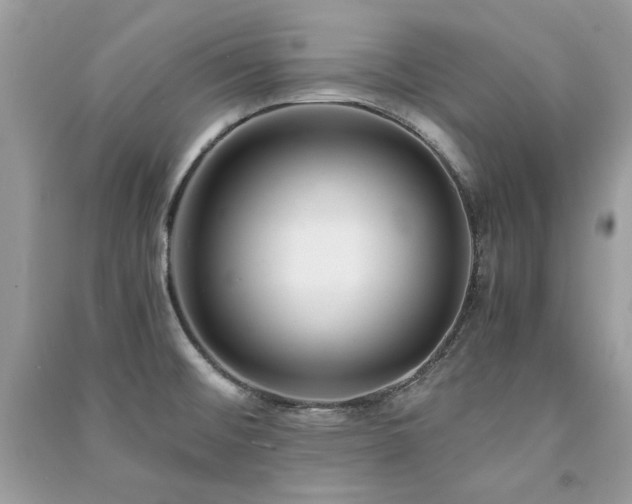 X0000091301476200708101257