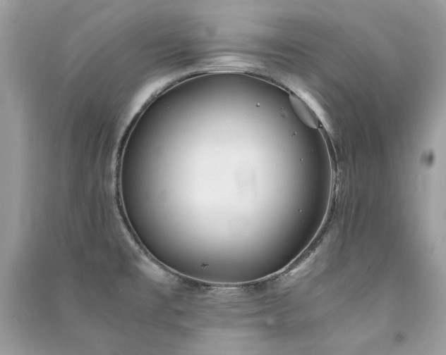 X0000091301477200708101257