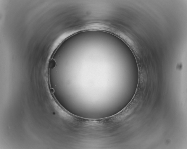X0000091301478200708101257