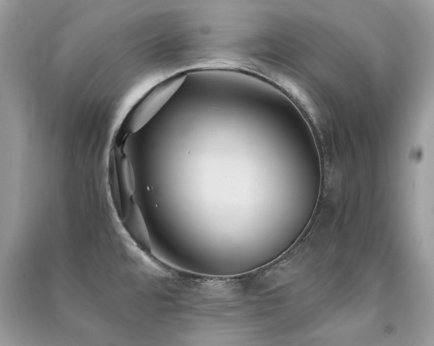 X0000091301480200708101257