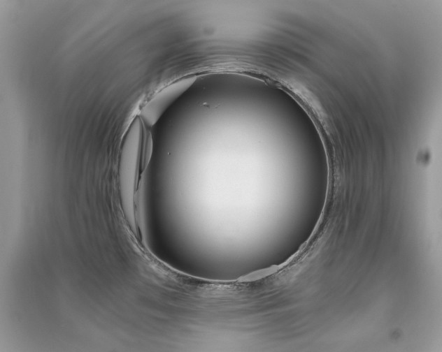 X0000091301481200708101257