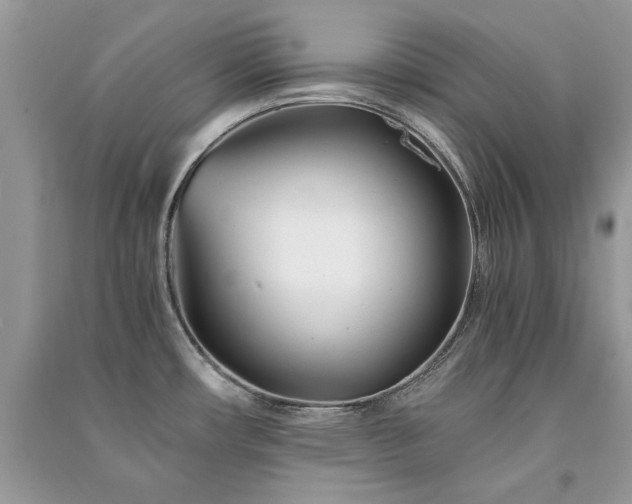 X0000091301482200708101257