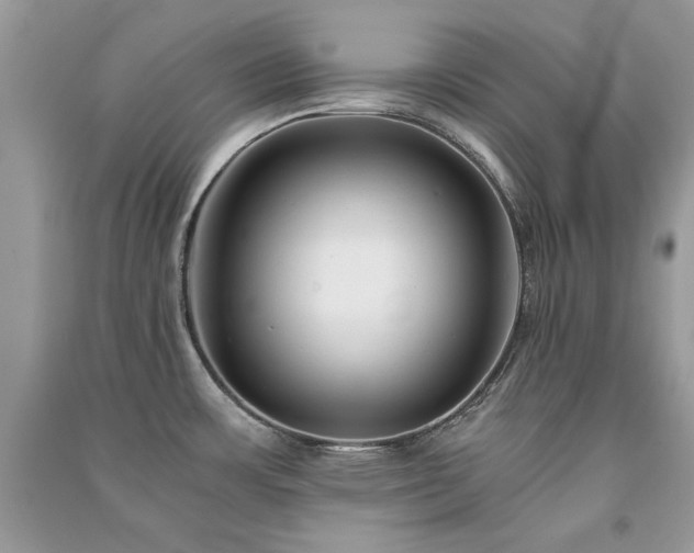X0000091301483200708101257