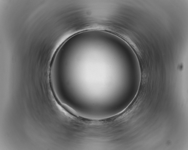 X0000091301484200708101257