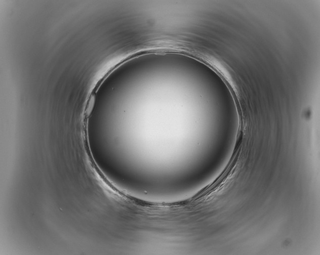 X0000091301485200708101257
