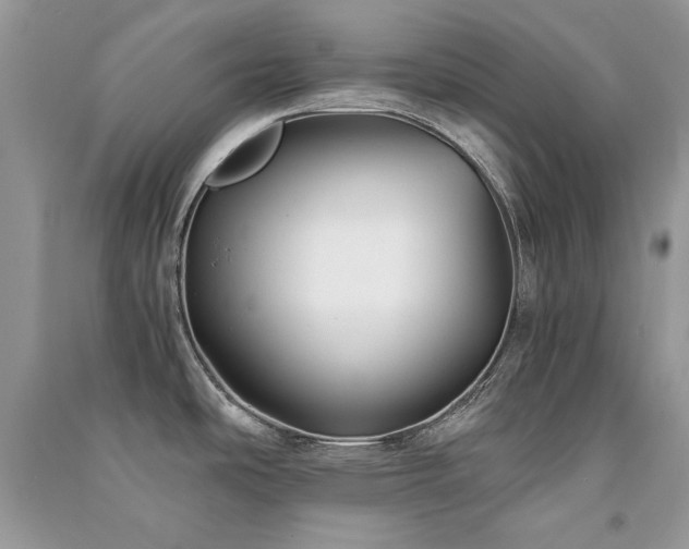X0000091301486200708101257